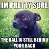 Suspicious Dog - I