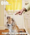 Cat thinking "I can